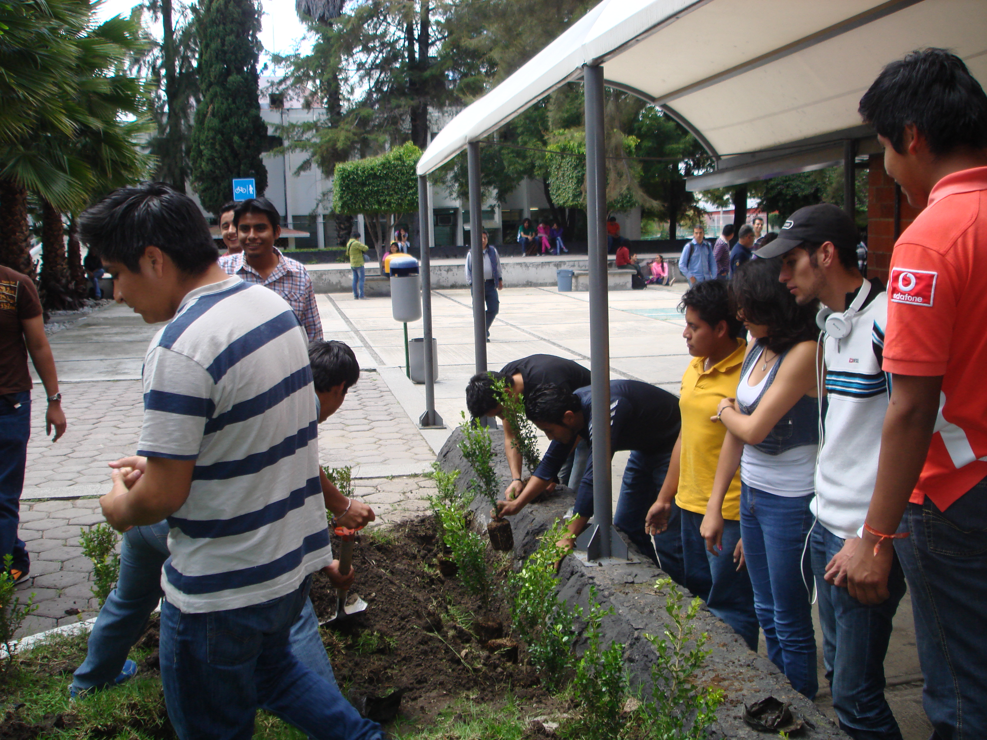 Imagen 2 de lavado y secado de utencilios